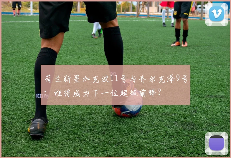 荷兰新星加克波11号与齐尔克泽9号:谁将成为下一位超级前锋?