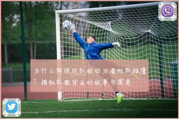为什么阿根廷队被称为潘帕斯雄鹰？揭秘队徽背后的故事与寓意