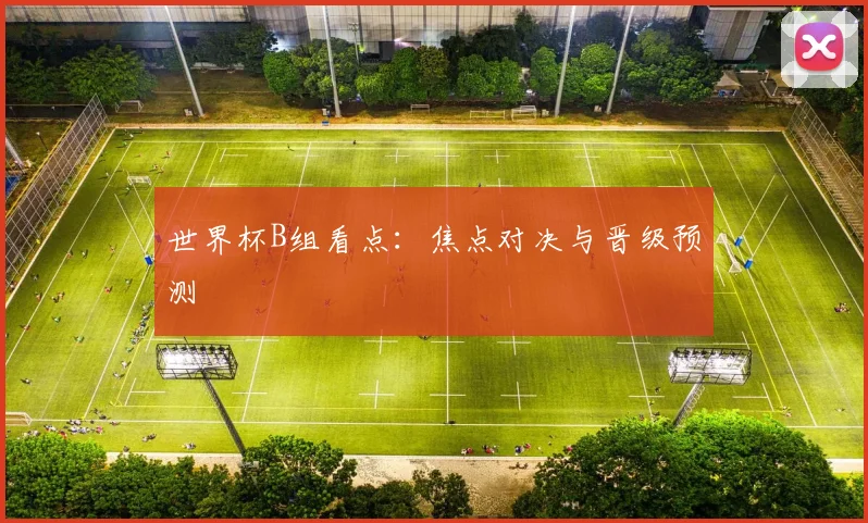 世界杯B组看点:焦点对决与晋级预测