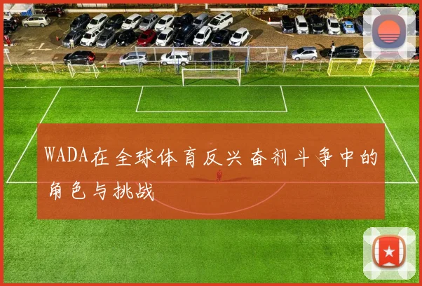 WADA在全球体育反兴奋剂斗争中的角色与挑战