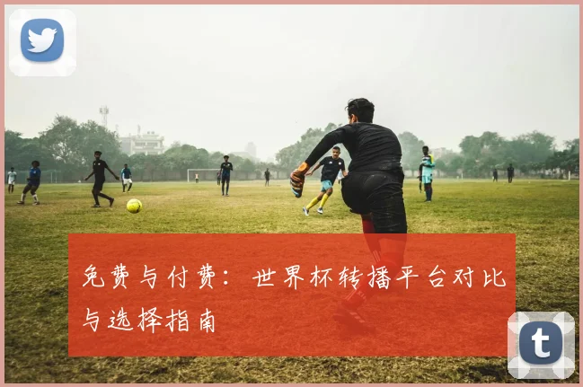 免费与付费：世界杯转播平台对比与选择指南