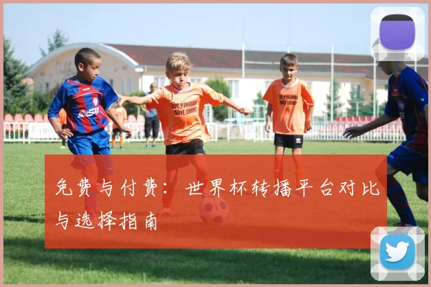 免费与付费：世界杯转播平台对比与选择指南